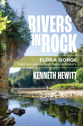 Cover of Rivers in Rock