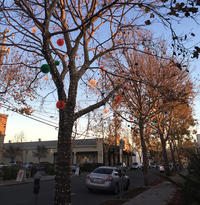 Berkeley_December